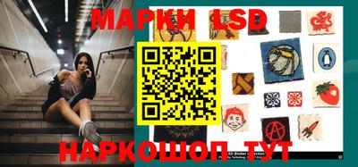 крисы Пенза