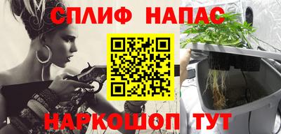 крисы Пенза