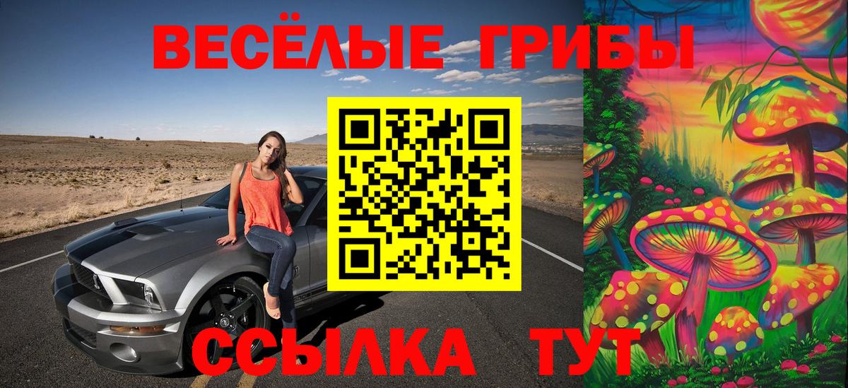 Псилоцибиновые грибы Psilocybe  Псилоцибиновые грибы прущие грибы  Реж  Вход с VPN 